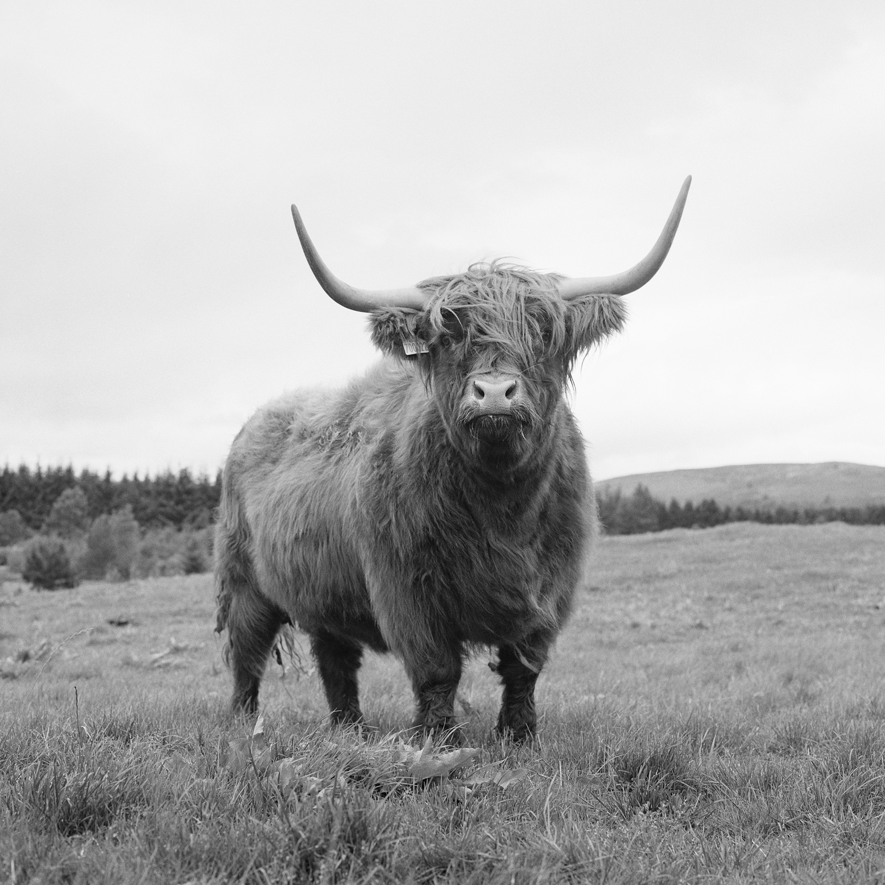 Fondazione Prada Presents “Typologien: Photography in 20th-Century Germany”