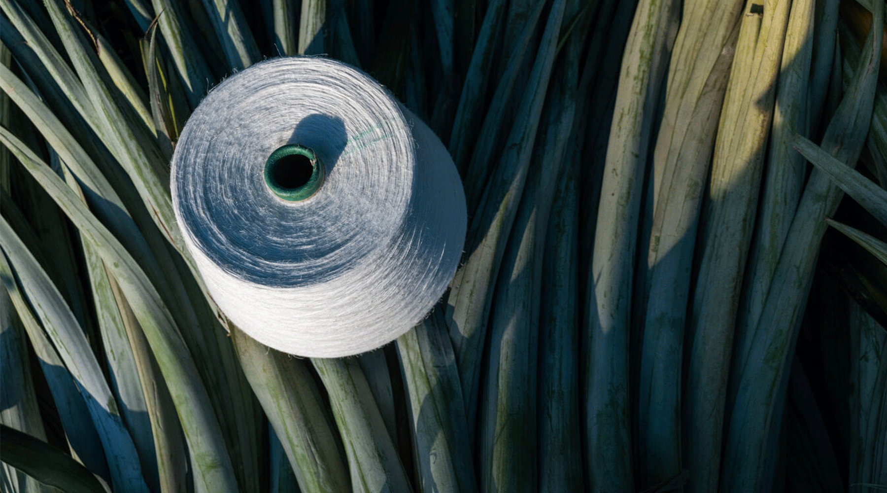 9 Fashion Activists Leading the Green Movement