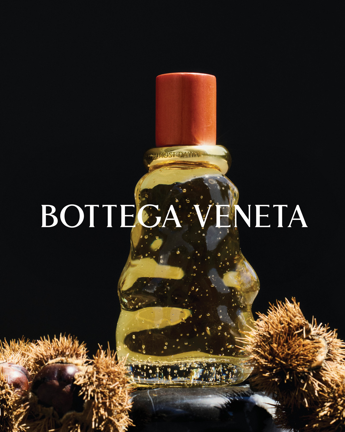 Bottega Veneta Launches New "Mezzanotte" Fragrance Collection Review