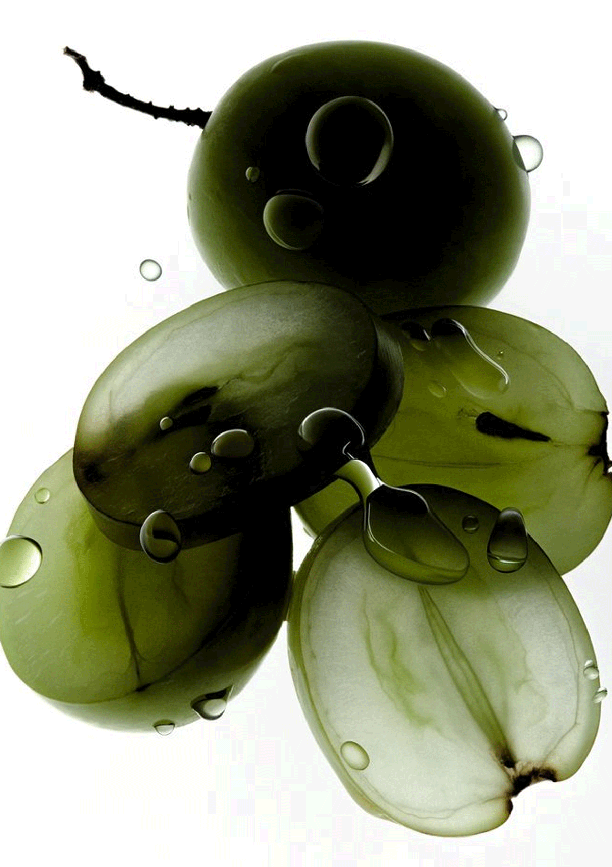 Find Your Forever Scent in Five Simple Steps