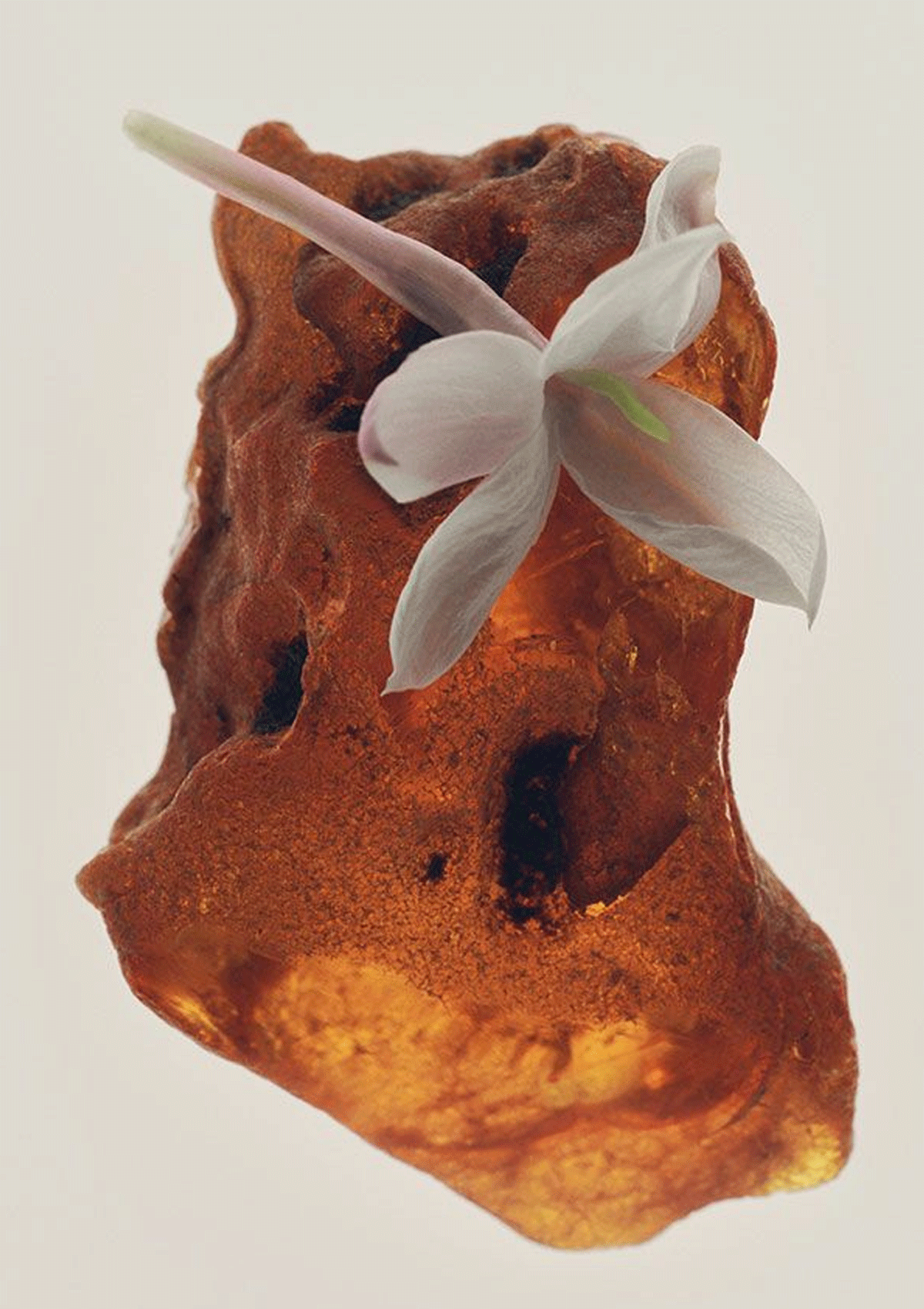 H&M Beauty 1947 Fragrance Collection