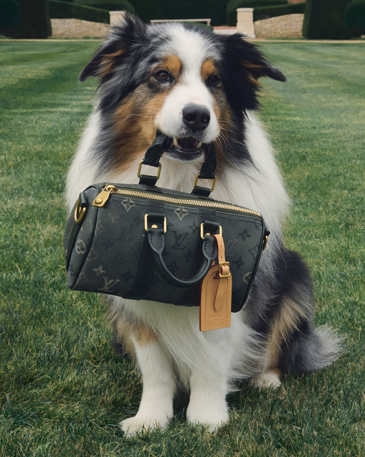 Louis Vuitton Men's Spring Summer 2026 Pre-Collection Review