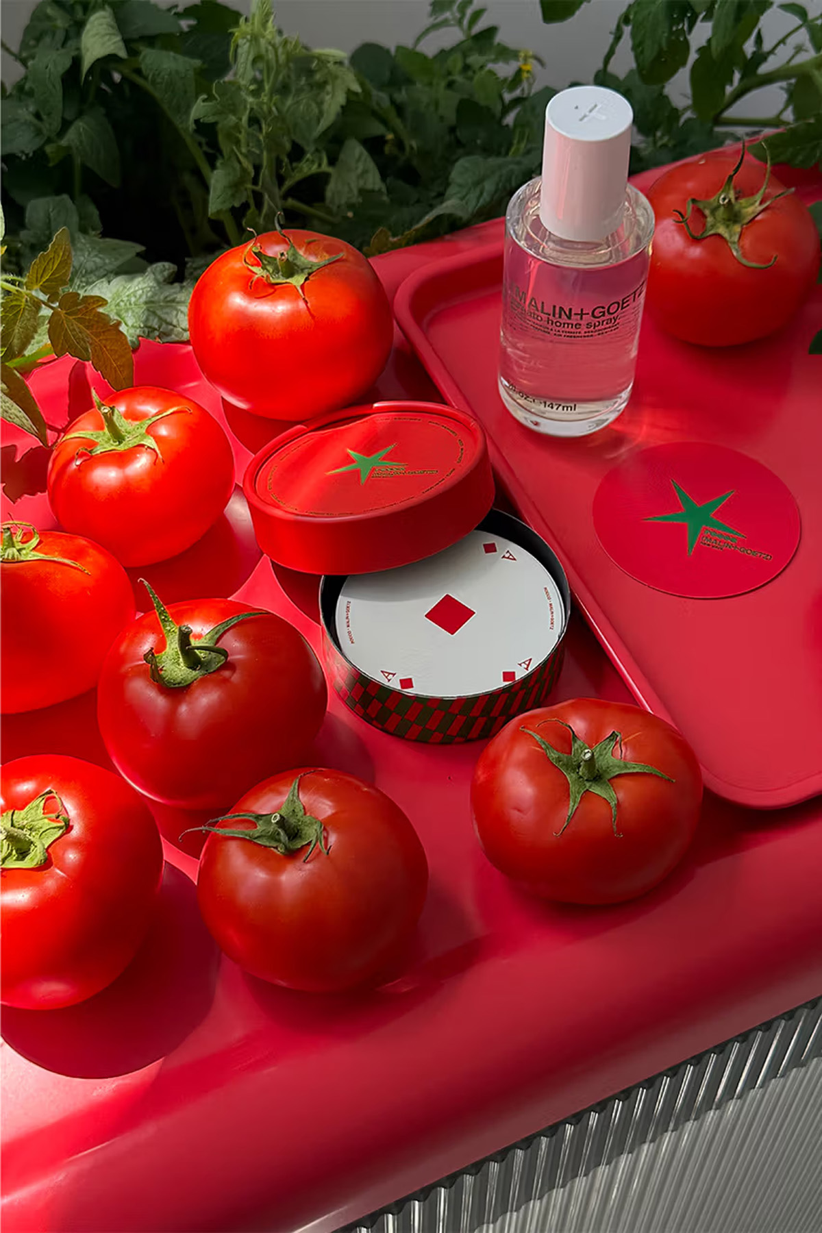 MALIN+GOETZ x Rocco Fridge | Source: Rocco