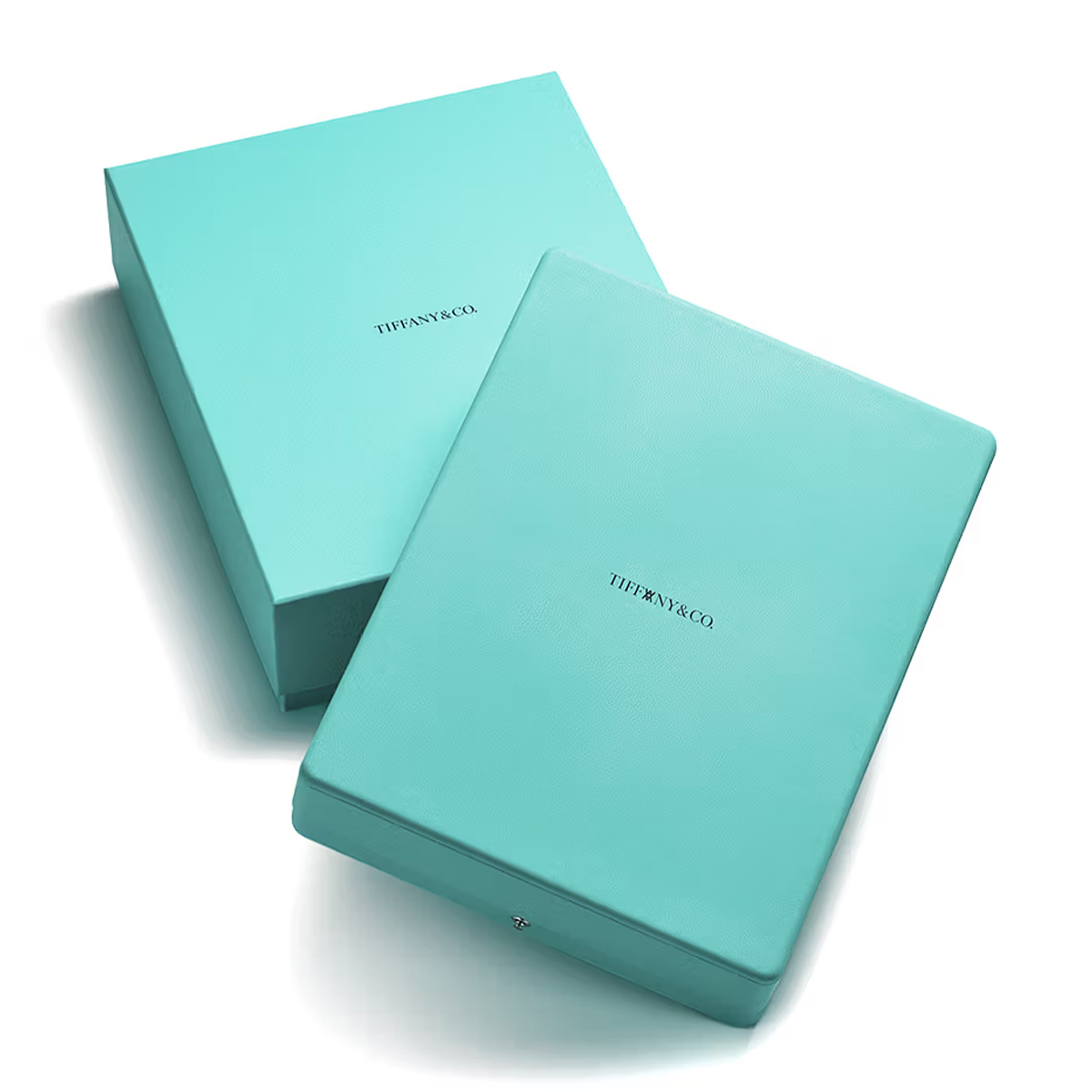 Tiffany & Co. x Daniel Arsham