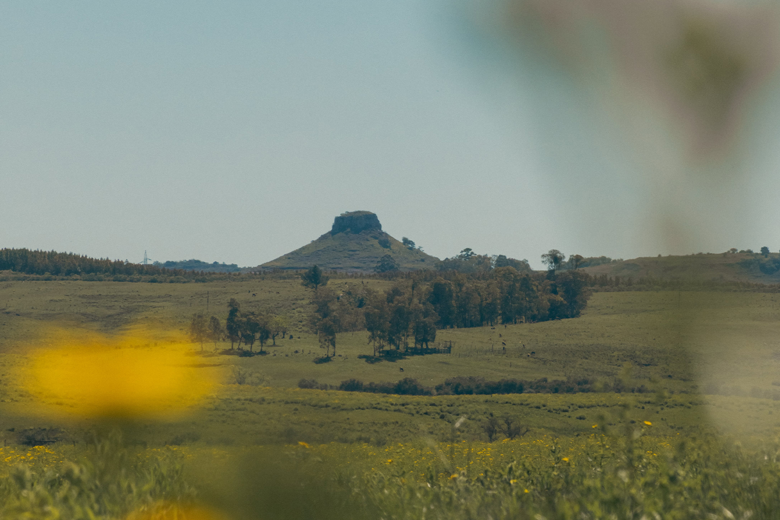 The Future of Fashion Lies in Sustainable Trends | Image from veja-store.com